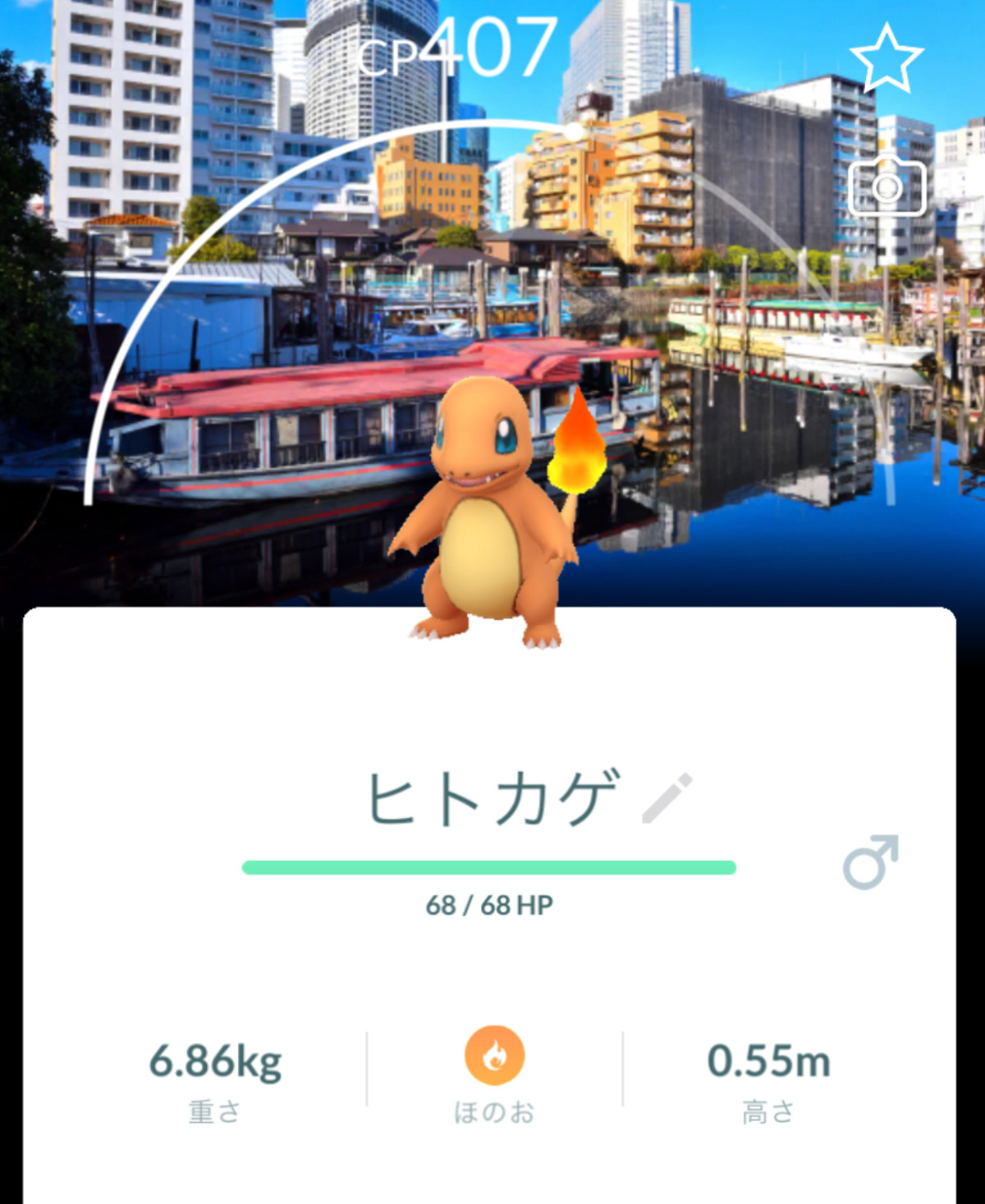 20260525 Pokemon GO Fest