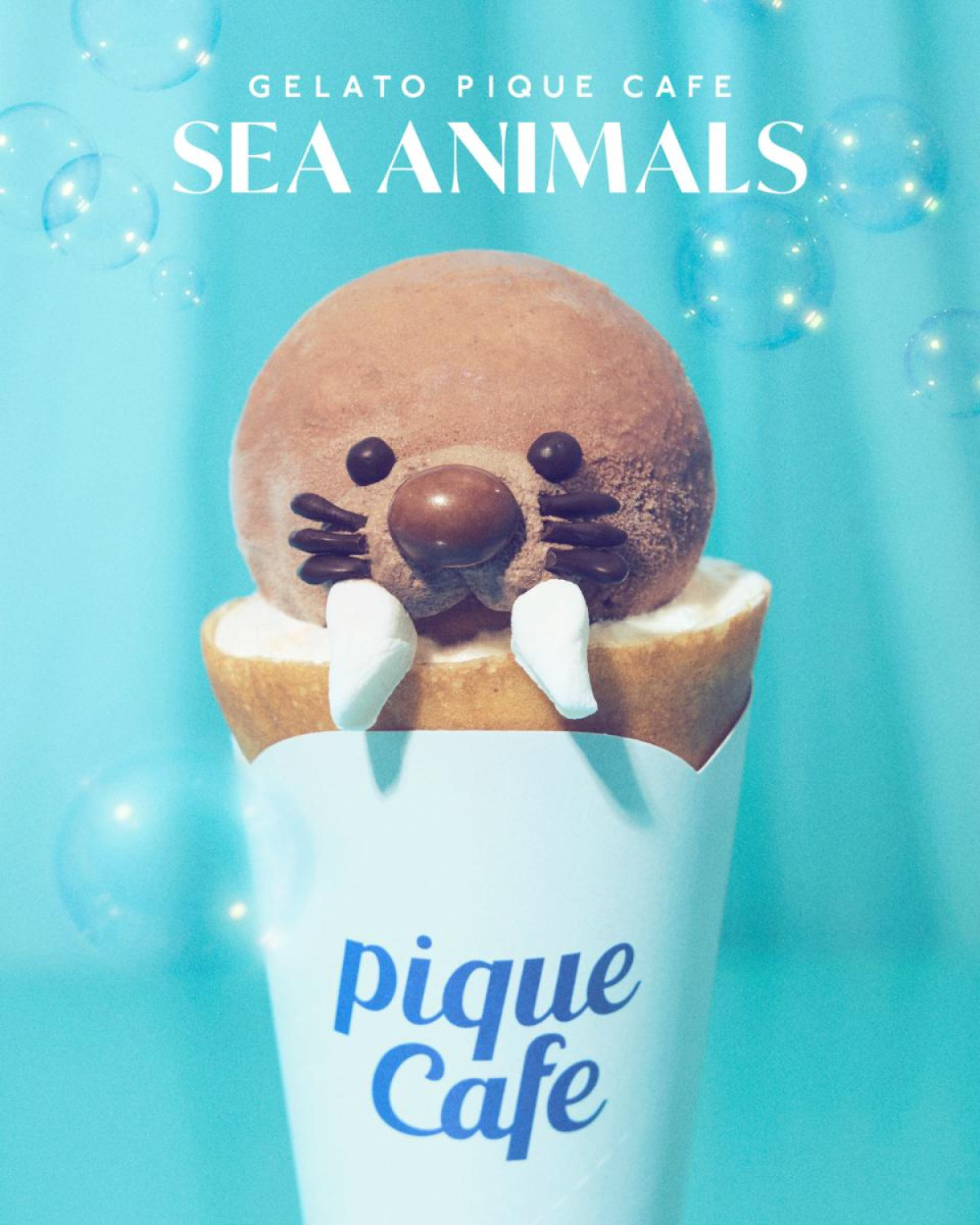 260523「SEA ANIMALS」
