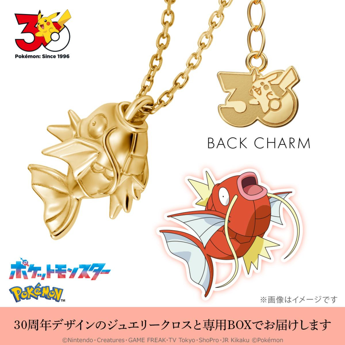 260710『ポケモン』