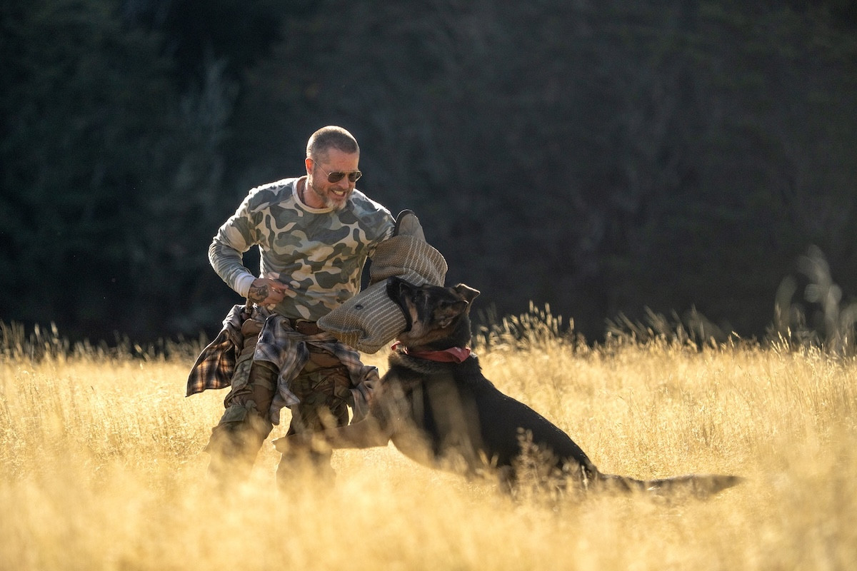 ブラッド・ピット×義足の元軍用偵察犬、過酷な大自然を生き抜く『ハート・オブ・ビースト』予告解禁