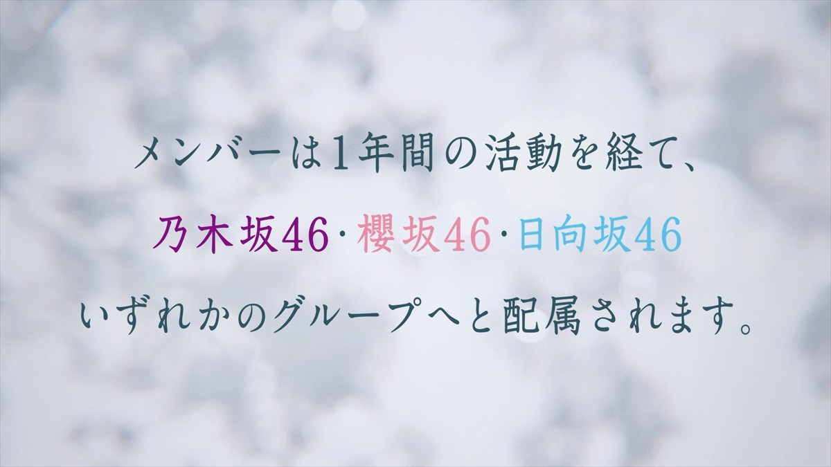 新たな坂道グループ「青葉坂46」誕生へ！　井上和、森田ひかる、小坂菜緒らによるオーディション告知ムービーも解禁