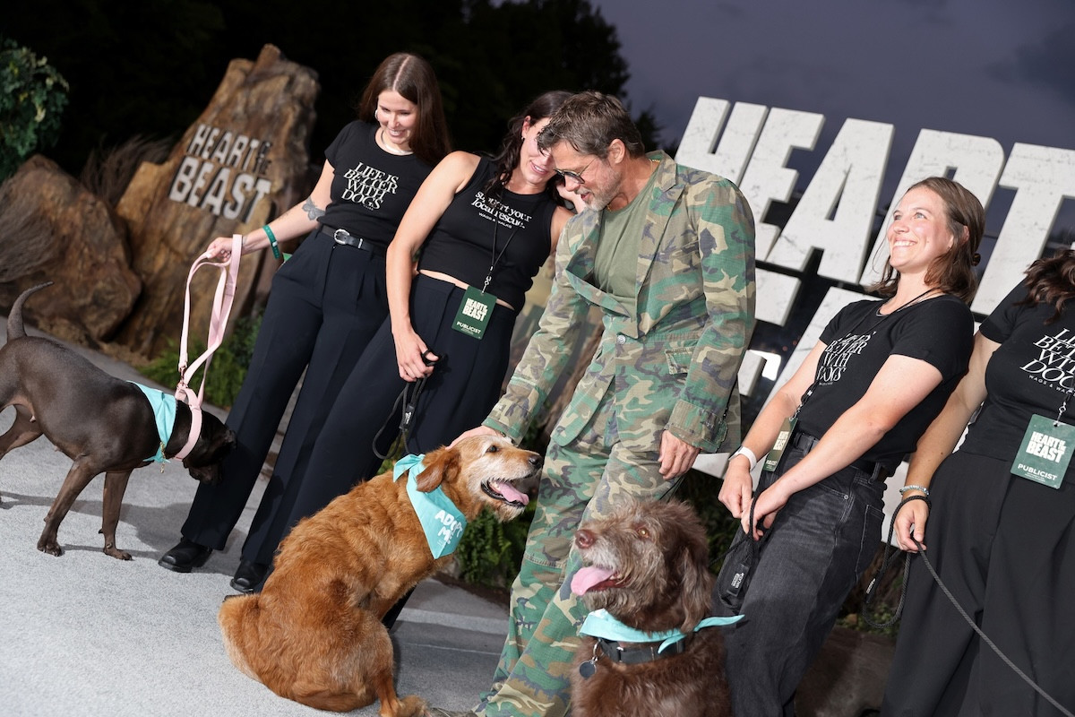 ブラッド・ピット、愛犬家の顔全開！ 『ハート・オブ・ビースト』プレミアで大型犬たちと笑顔