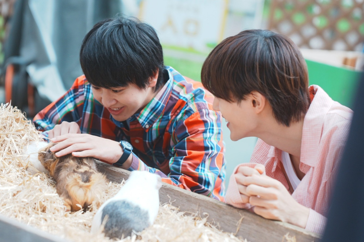 ドラマ『修学旅行２』第2話　日置への“大きすぎる愛”に渡会が葛藤　動物園デートでは謎の女性が接近…!?