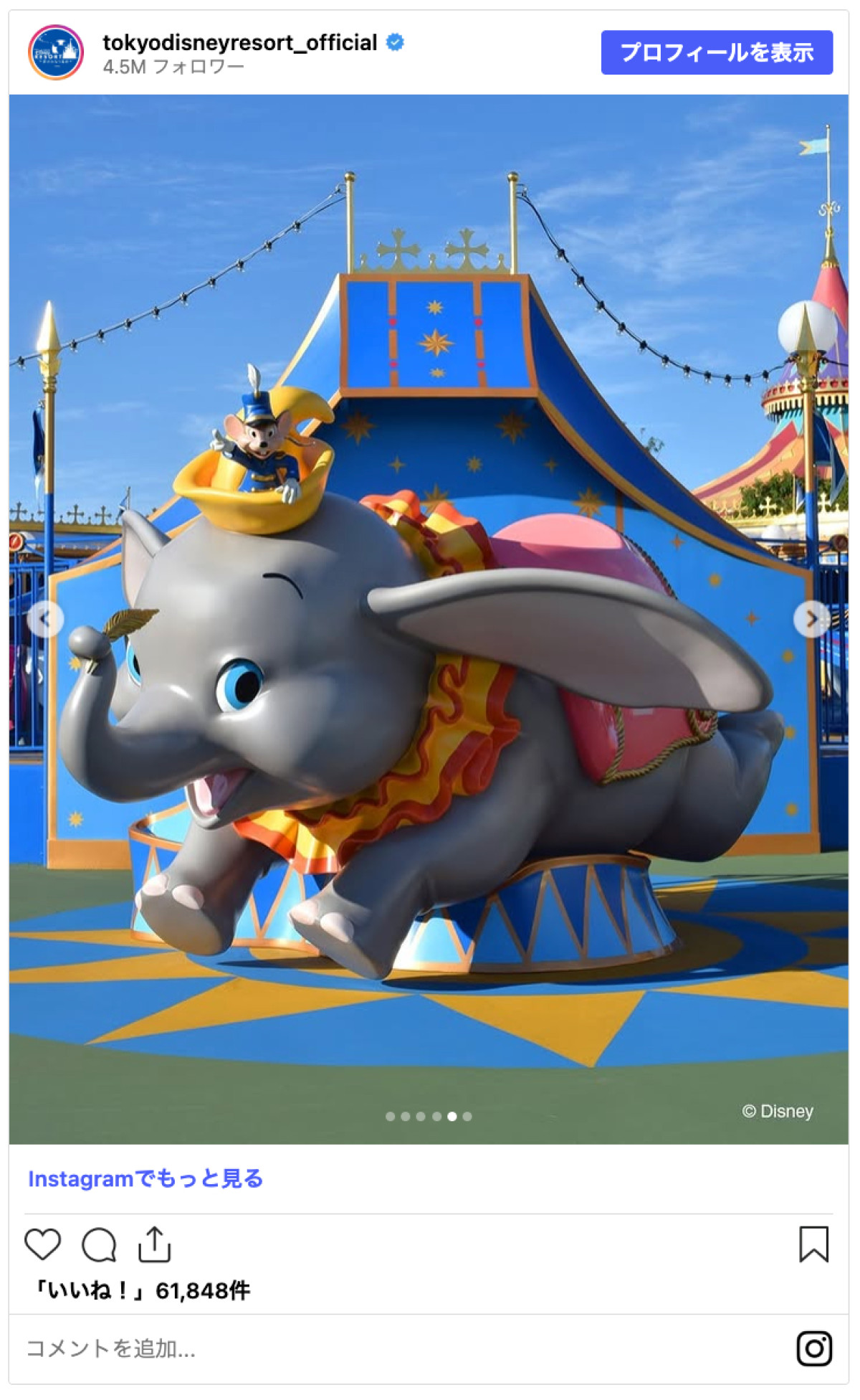 20261023_ダンボ復活