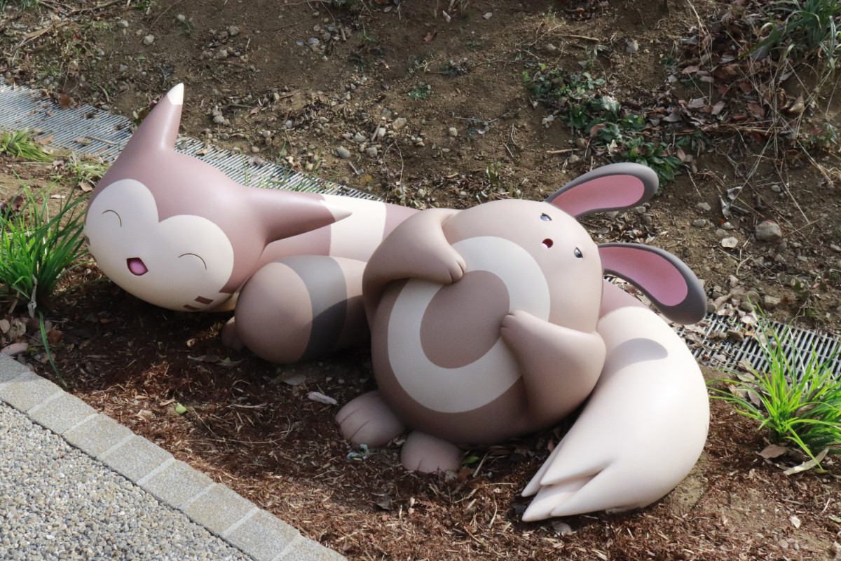 20260126 ポケパーク