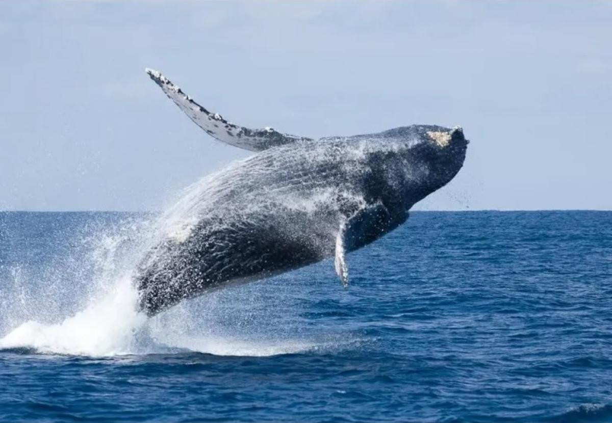 260120「サウスゲートホテル沖縄」