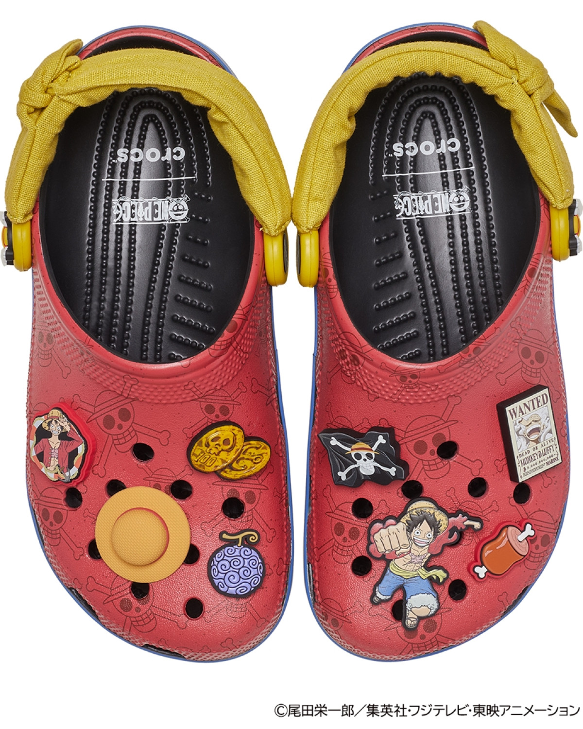 20260225_ワンピース