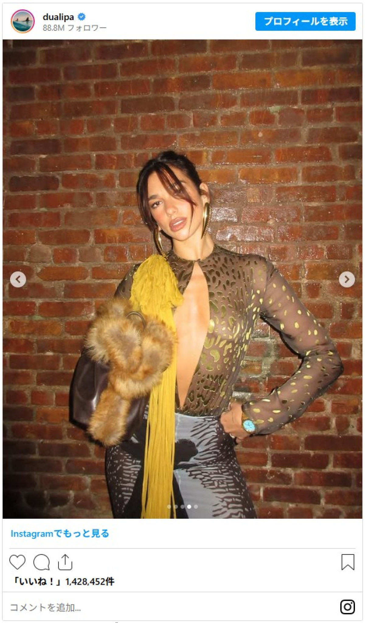 【フォト特集】冬でもスケスケ！　セレブの大胆街角ルック