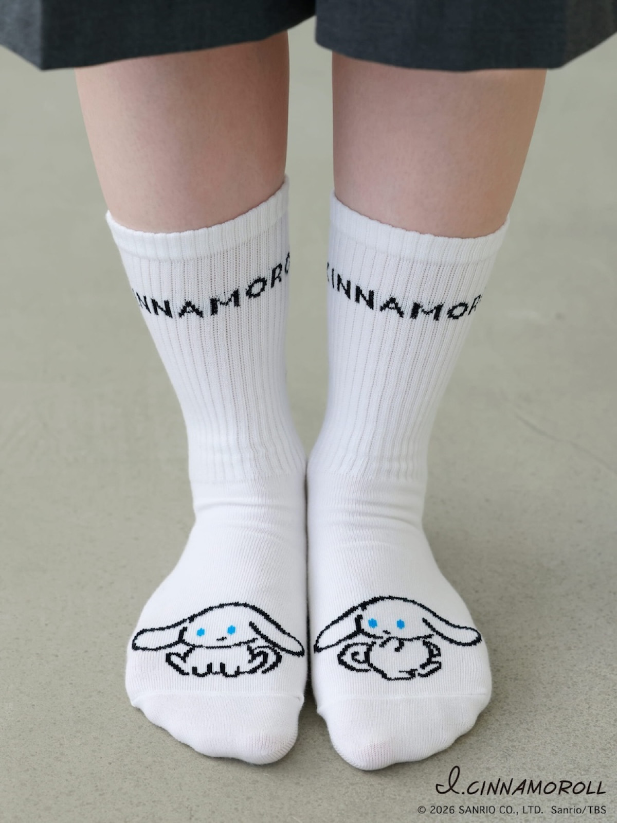 260216_アイシナモロール