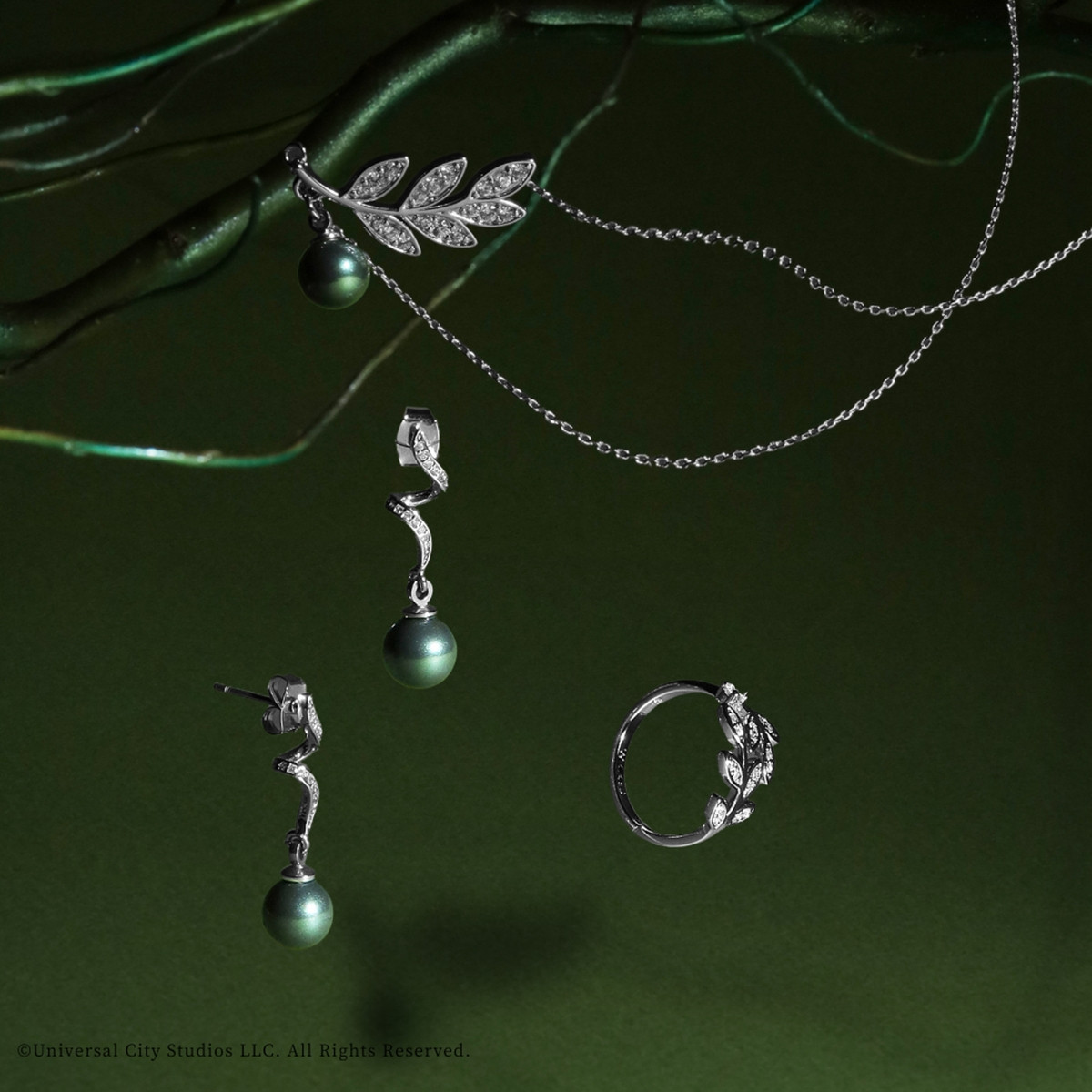 20260212_ウィキッド