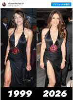 エリザベス・ハーレイ、27年前のドレスを再着用　※「エリザベス・ハーレイ」Instagram