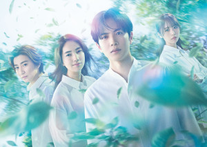 ドラマ『10回切って倒れない木はない』キービジュアル