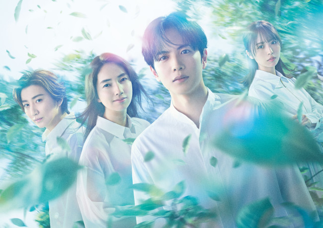 ドラマ『10回切って倒れない木はない』キービジュアル