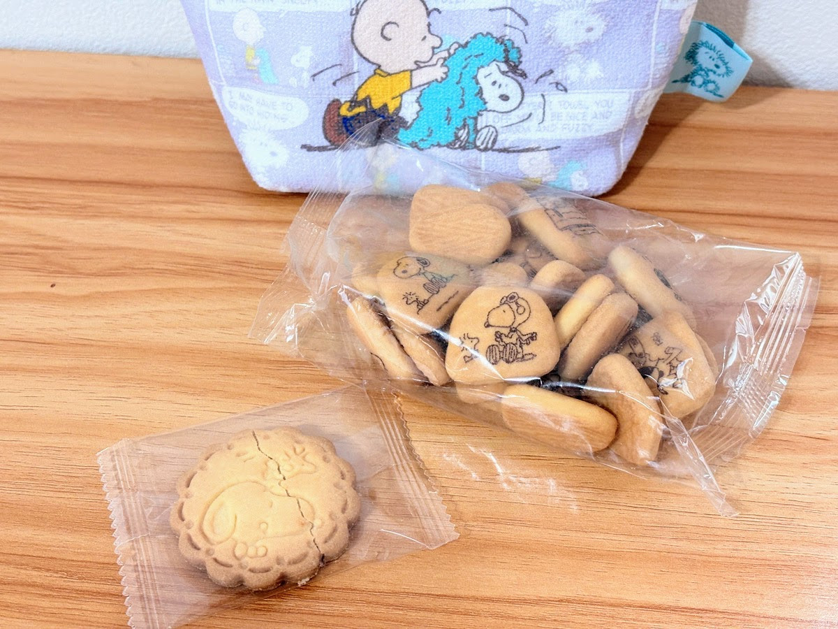 20260306 スヌーピーのポーチ