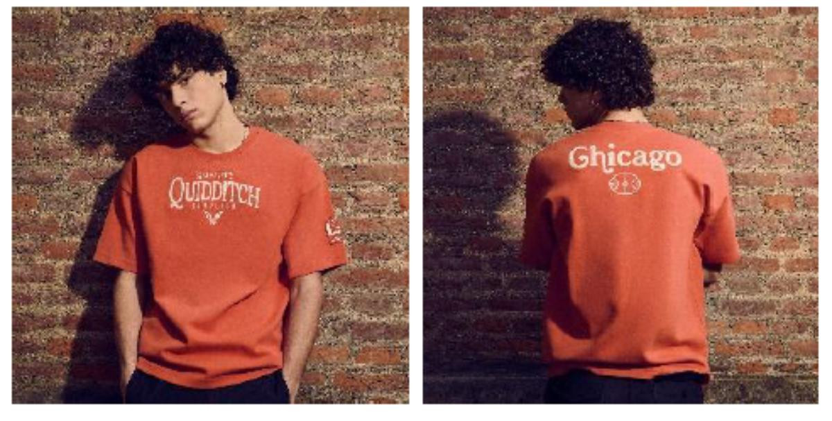 260330「クィディッチコレクション」