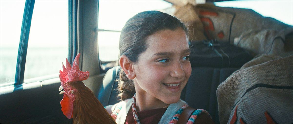 アカデミー賞イラク代表・カンヌでW受賞『大統領のケーキ』7.10公開決定！特報＆場面写真解禁