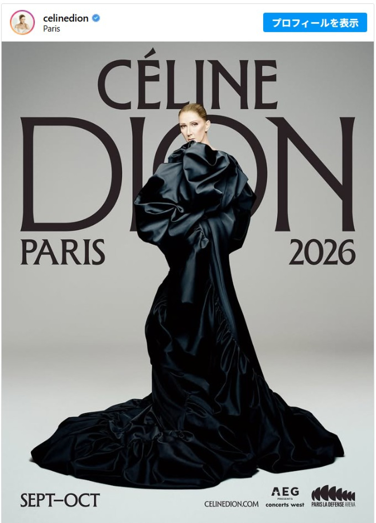 セリーヌ・ディオン、58歳誕生日にコンサート復帰を発表「人生で一番うれしい誕生日プレゼント」