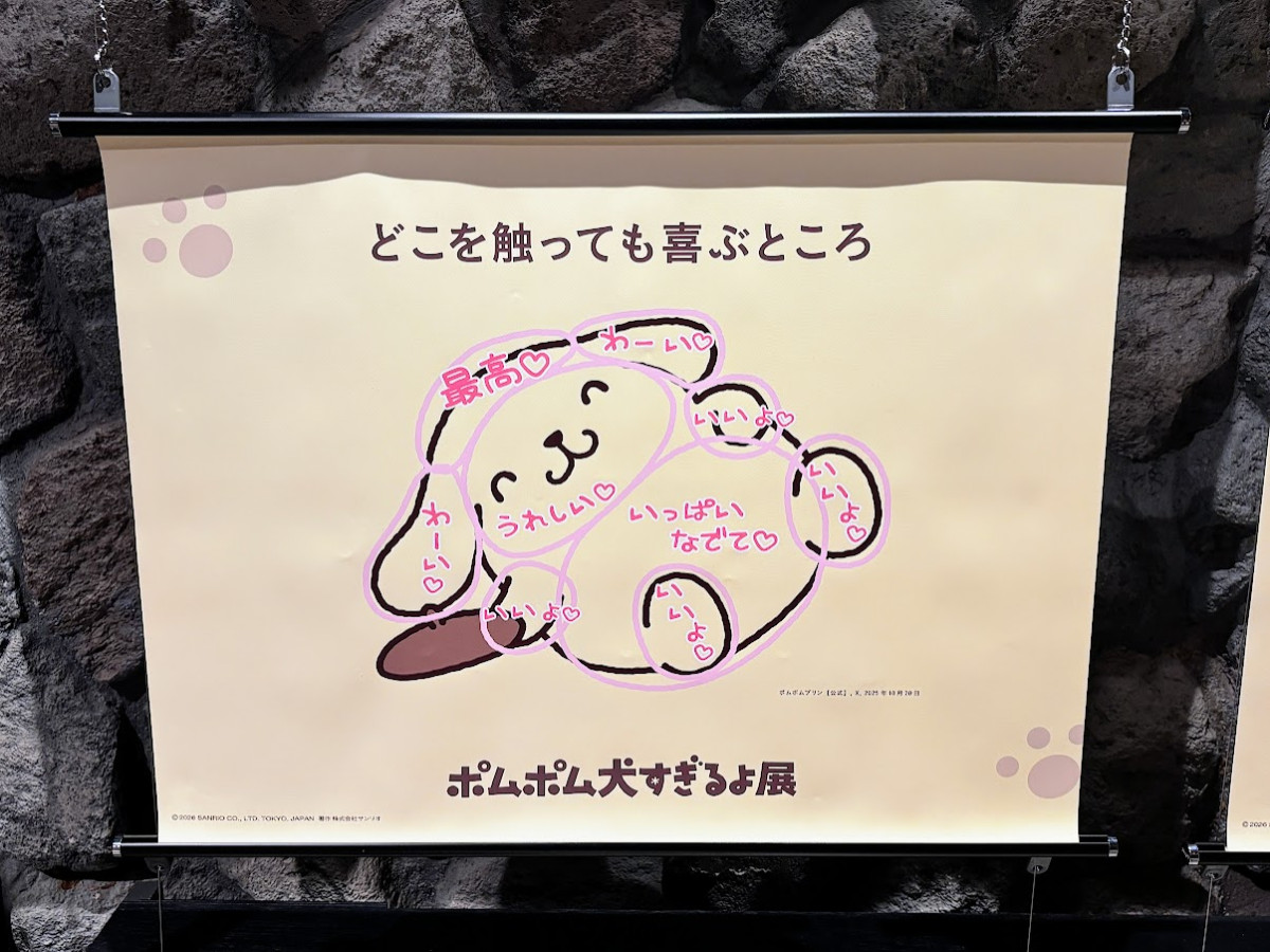 20260412 ポムポムすぎるよ展