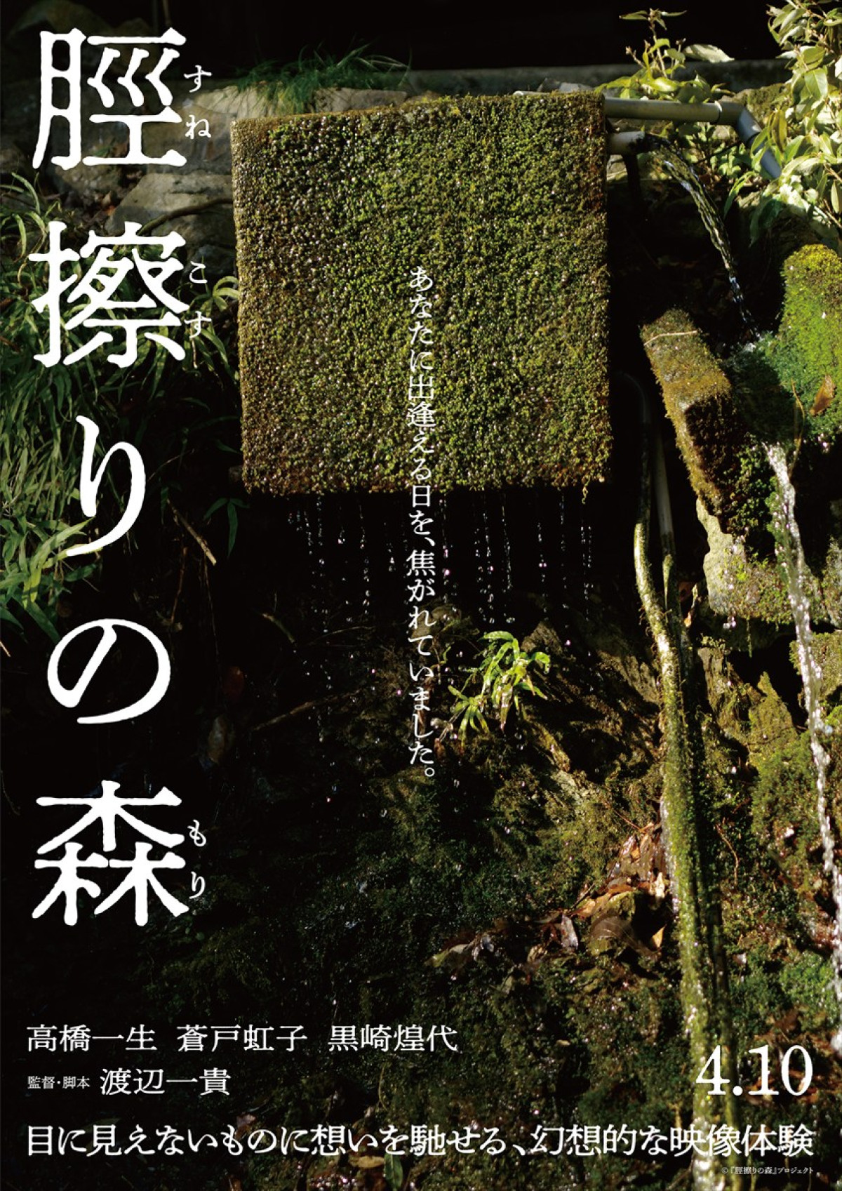 『脛擦りの森』静謐な美しさに魅入られる――新ビジュアル8点＆SP予告解禁