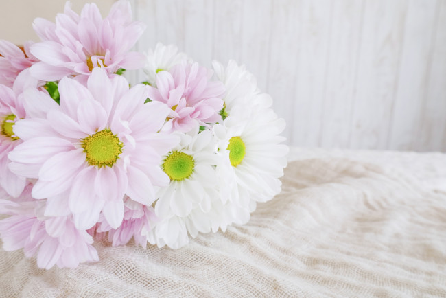 急逝した26歳YouTuberが参加　3月末始動の3人組グループ、今後についてコメント