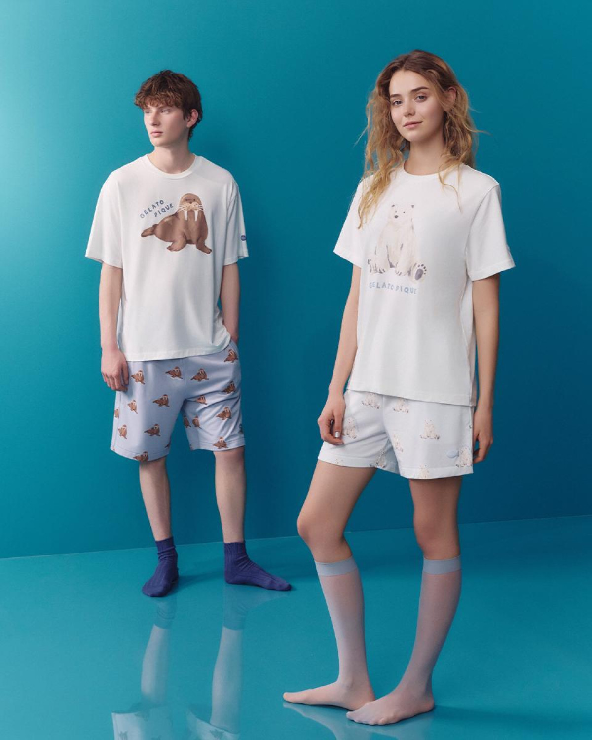 260525「SEA ANIMALS COLLECTION」