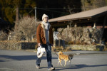 映画『メモリィズ』場面写真
