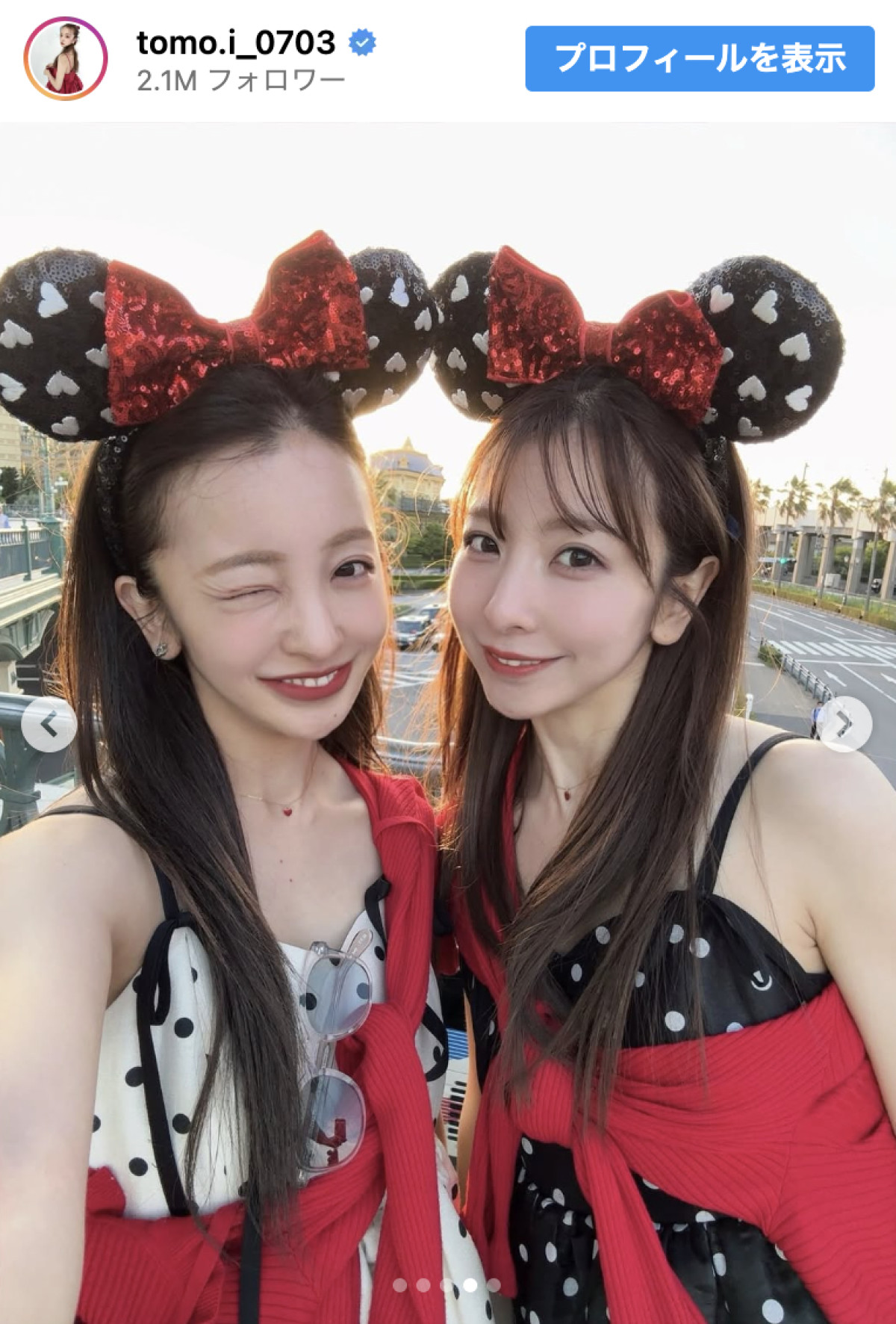 板野友美「ほんとの姉妹で」ディズニー満喫　リンクコーデに「かんわいいい」「耳の形一緒」
