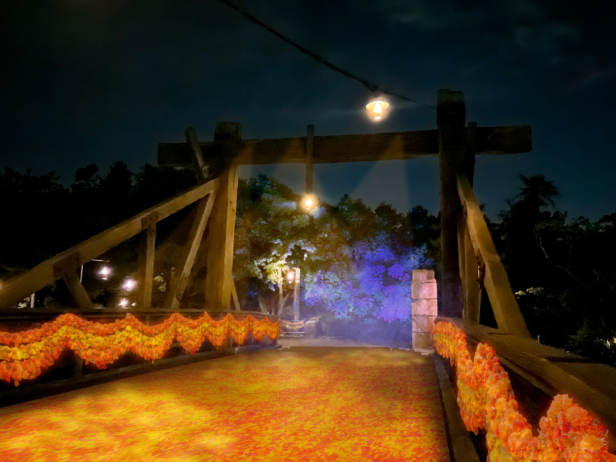 20260713 ディズニー・ハロウィーン