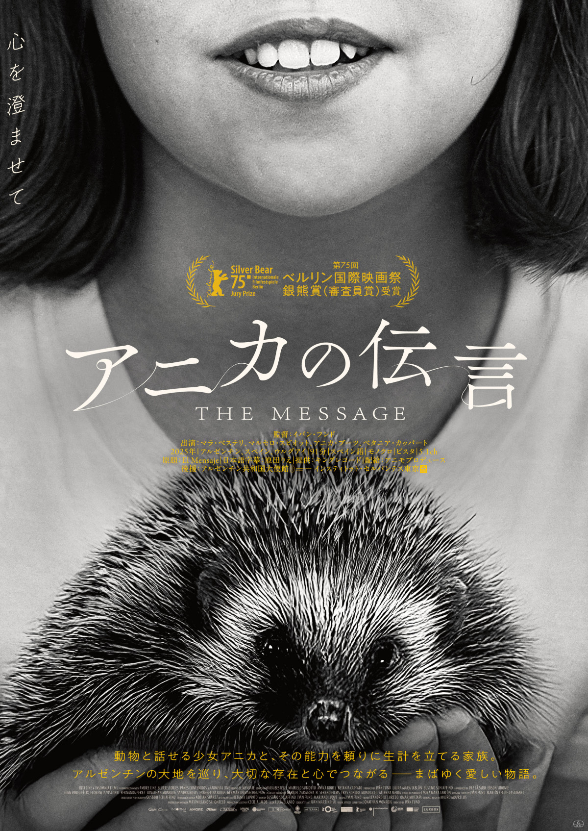 映画『アニカの伝言』ポスタービジュアル