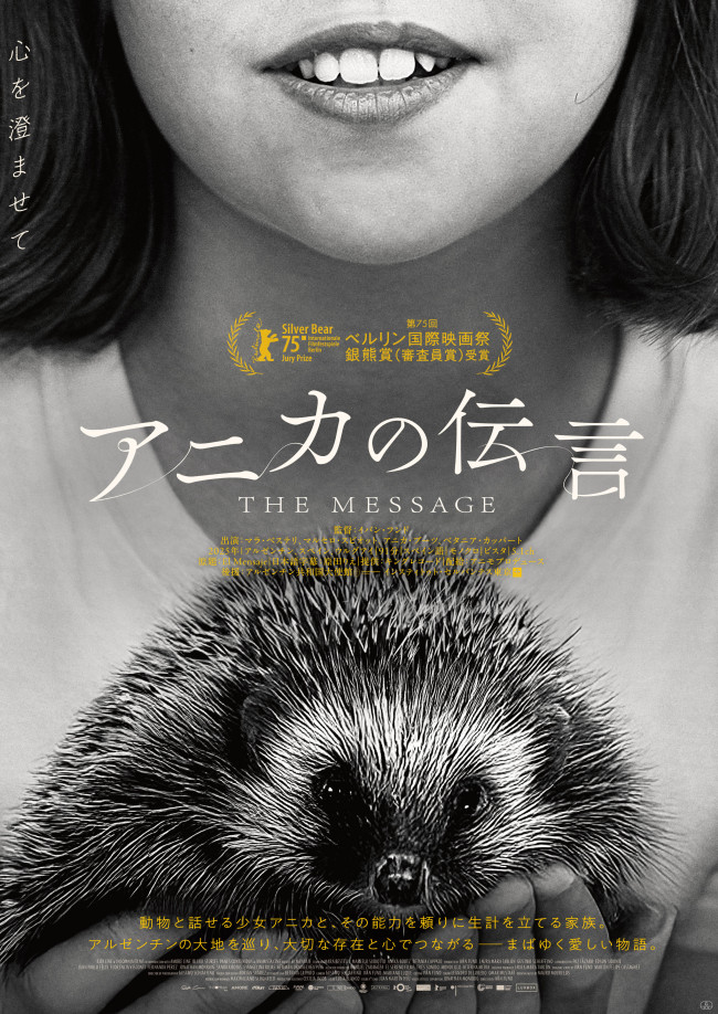 映画『アニカの伝言』ポスタービジュアル