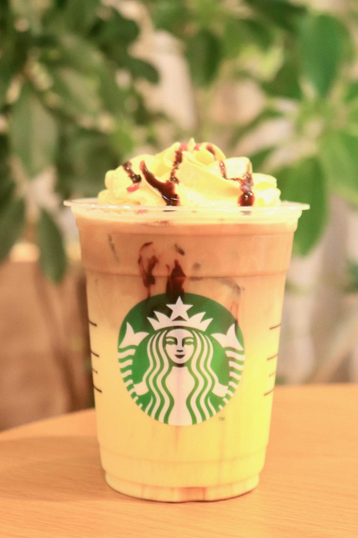 20260924_実物ピカチュウ ハニークリーム ラテ