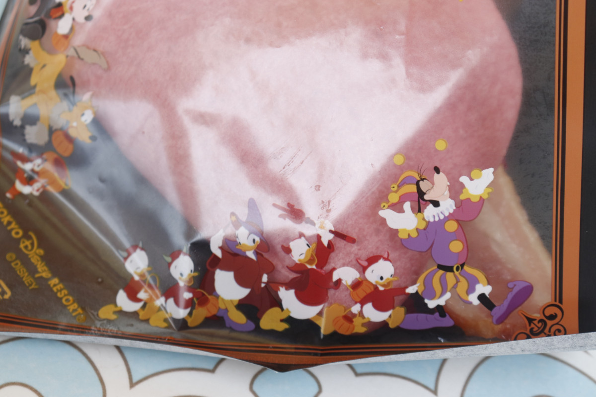 20260918 東京ディズニーリゾート