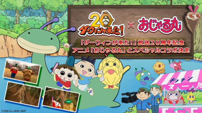 『ダーウィンが来た！』『おじゃる丸』スペシャルコラボ
