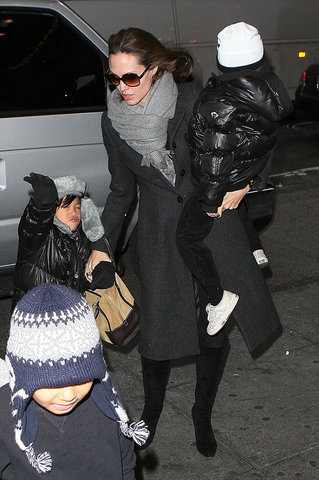 Angelina Jolie1068_aflo_2010010418491144