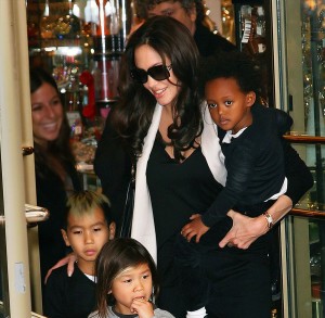 アンジェリーナ・ジョリー、ブラッド・ピット、ノックス＆ヴィヴィアン