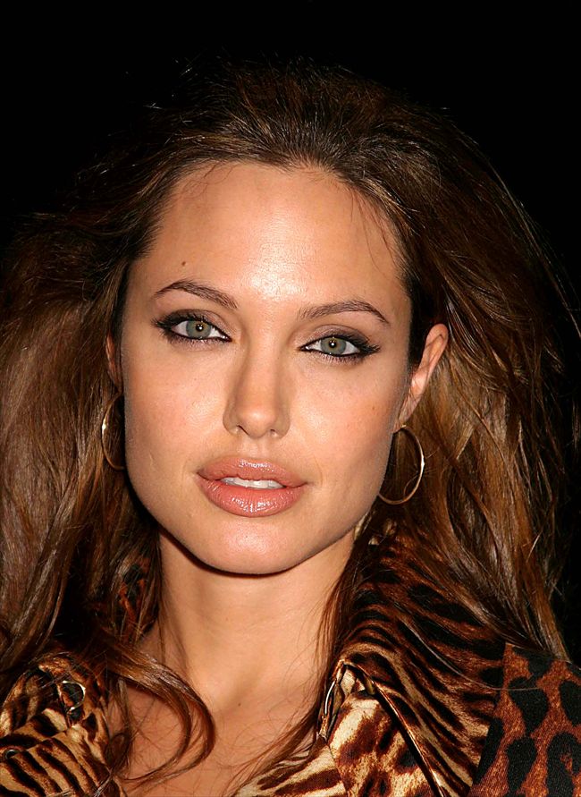 Angelina Jolie1358_Angelina Jolie18･p47852_4_e2_5