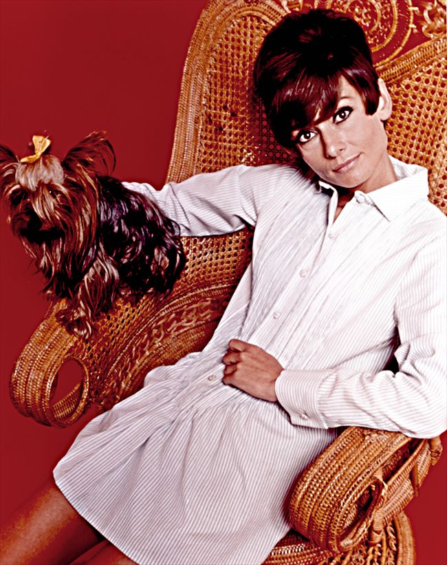 Audrey Hepburn2287_Audrey Hepburn・p8625
