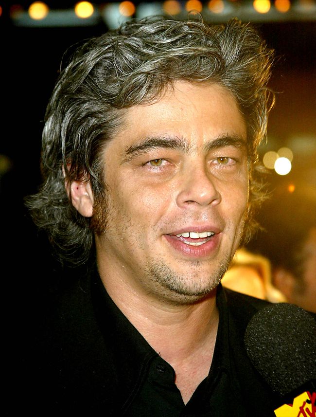 Benicio Del Toro2656_Benicio Del Toro・p21409