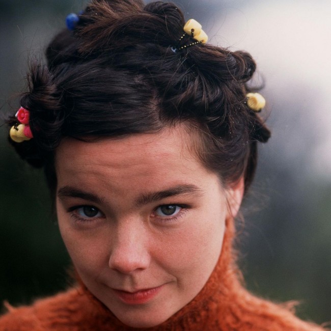 Bjork2935_Bjork・p18061
