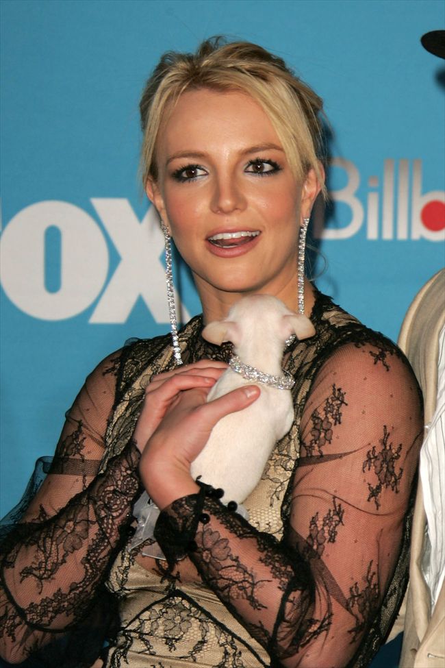 Britney Spears3685_Britney Spears･p58398_2_e2_5