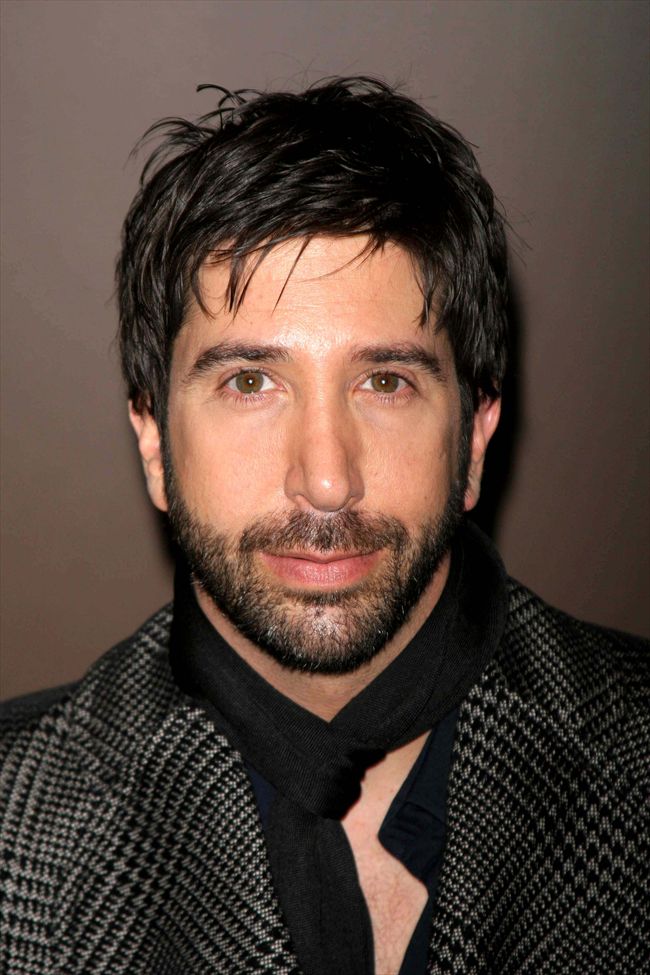 David Schwimmer6361_DAVID SCHWIMMER2