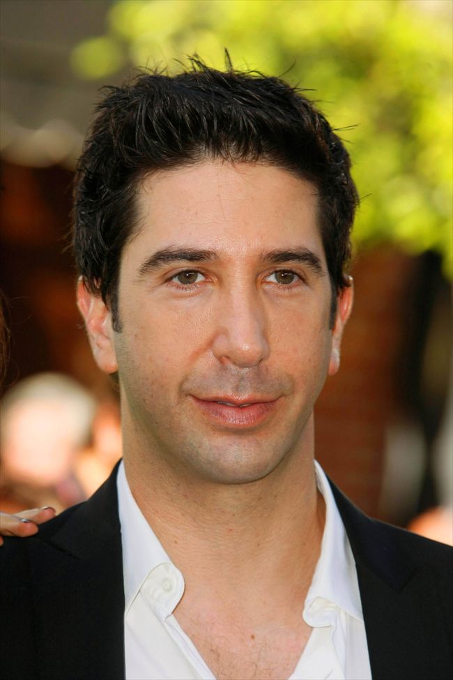 David Schwimmer6362_DAVID SCHWIMMER3
