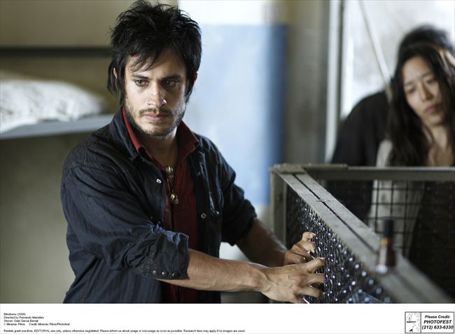 Gael Garcia Bernal8445_c1