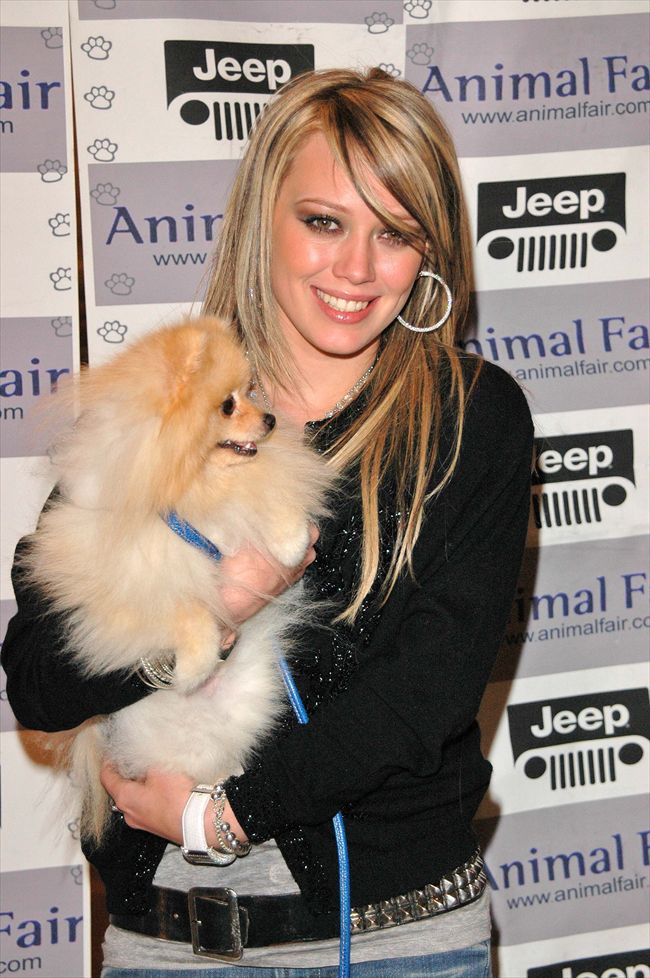 Hilary Duff9850_Hilary Duff･p54389_2_e2_5