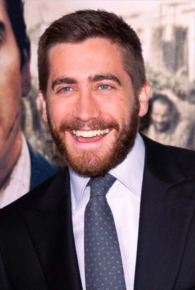 Jake Gyllenhaal10345_JAKE GYLLENHAAL5