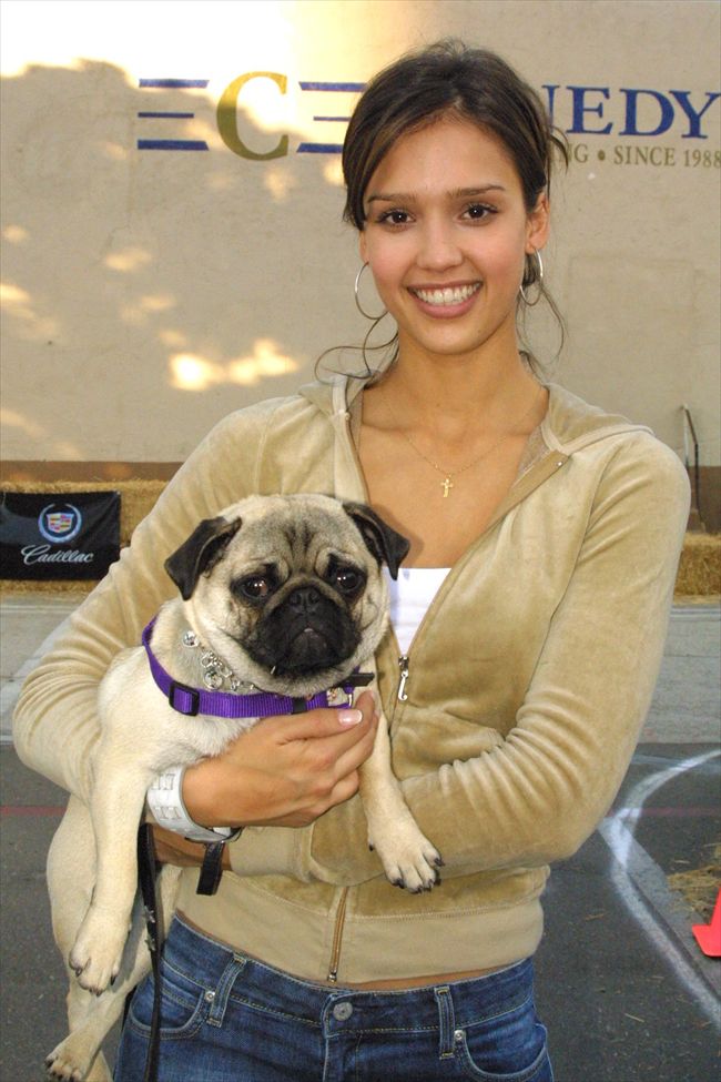 Jessica Alba11866_p15950_4_e2_5