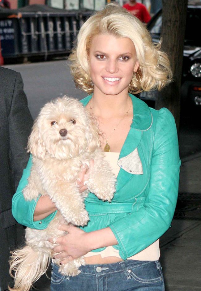 Jessica Simpson12024_JESSICA SIMPSON14