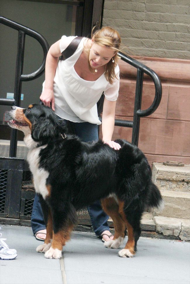 Katherine Heigl14090_KATHERINE HEIGL12