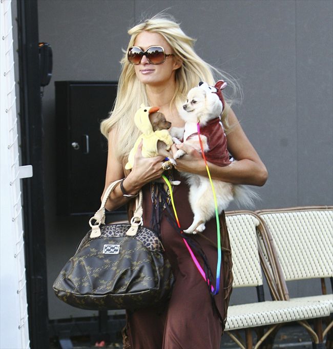 Paris Hilton20298_aflo_AINA205102