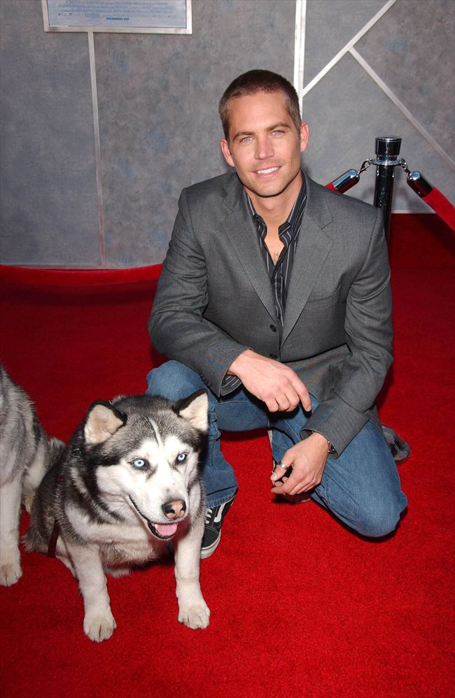 Paul Walker20794_Paul Walker7